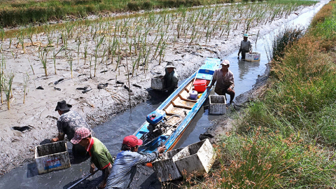 Bài học từ thiên tai...