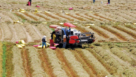 Chìa khóa cho nông nghiệp bền vững