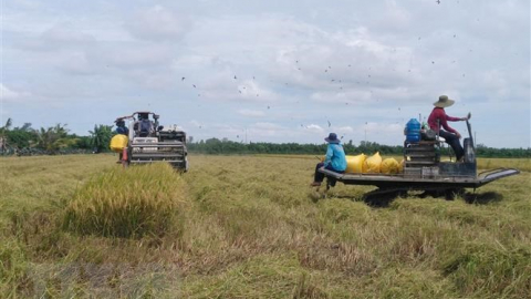 Khơi thông dòng chảy nông nghiệp xanh