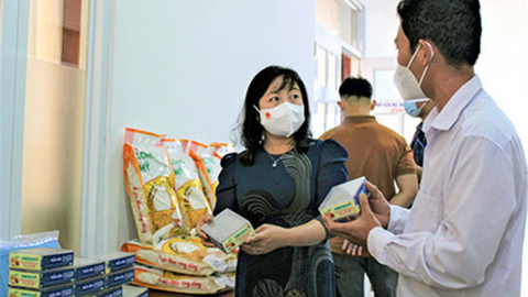 Làm giàu cho quê hương từ ong mật