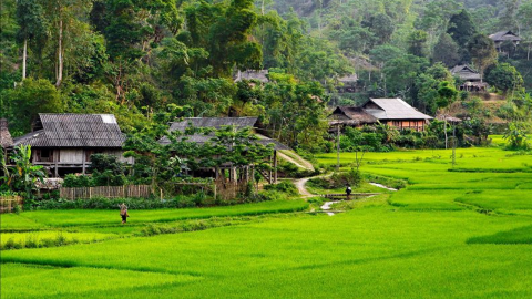 Hơn 10.000 người dân Tây Bắc tham gia chương trình nghệ thuật đặc biệt