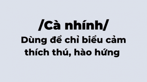 Cà nhính, cà nhính