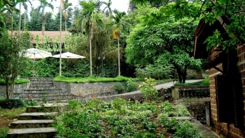 Du lịch Trang trại đồng quê Ba Vì: Trở về với quê hương