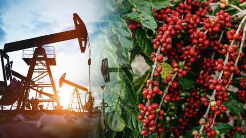 Lực bán áp đảo của nhóm năng lượng kéo chỉ số MXV-Index rơi điểm