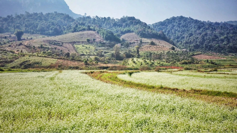 Du xuân 3 miền
