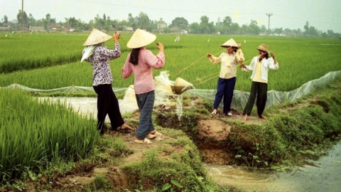Một thời gầu dây