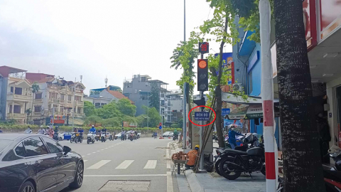 Sớm nâng cấp đèn để thuận lợi chấp hành, giảm ùn tắc giao thông