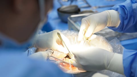 Lần đầu tiên bệnh viện Quân y 175 lấy, ghép tạng từ người chết não