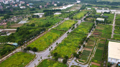 Chính phủ giảm 30% tiền thuê đất năm 2024
