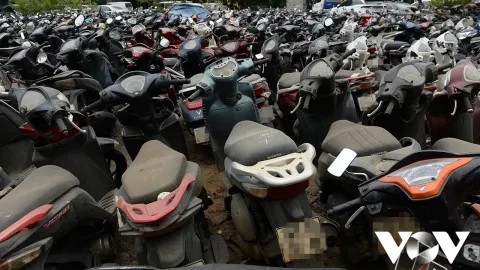 Đề xuất bán ngay xe vi phạm bị tạm giữ