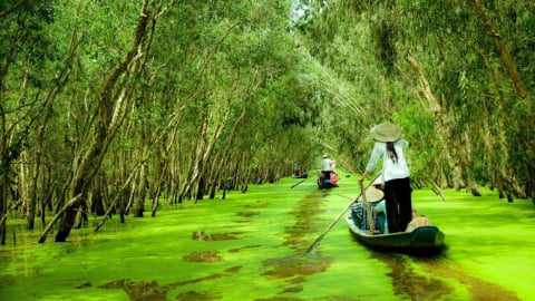 Mùa nước đỏ U Minh