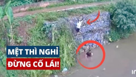 Top 8 pha ngủ gật sau vô lăng khiến người xem thót tim