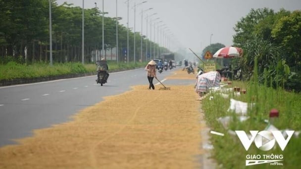 Sử dụng lòng đường để phơi lúa, rơm rạ có thể bị phạt tới 20 triệu đồng