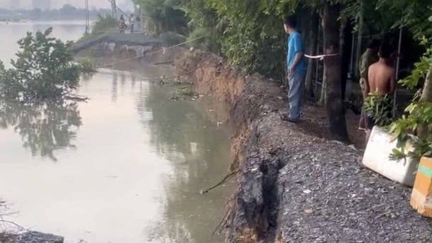 Sạt lở đê sông Sài Gòn, di dời khẩn cấp nhiều hộ dân