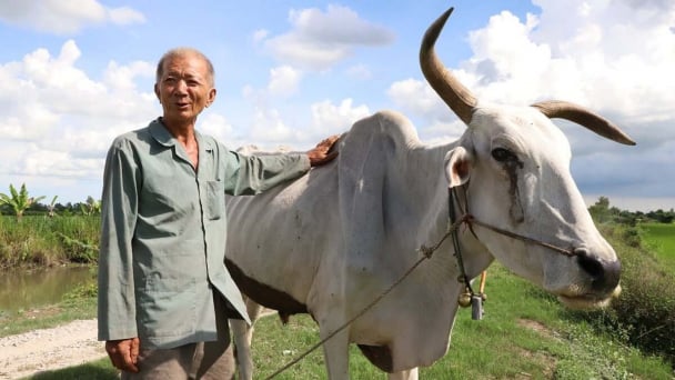 Tám Pho, người đàn ông “kỳ lạ” xứ Chắc Cà Đao