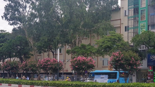 Phố hồng
