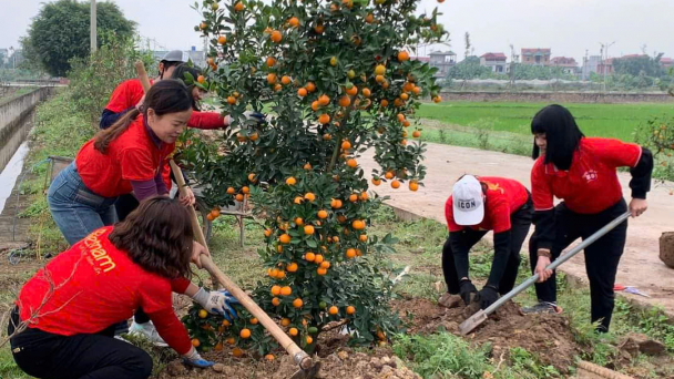 Vòng đời mới cho đào, quất