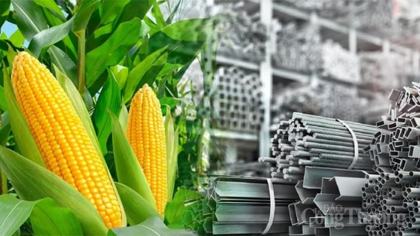 Thị trường hàng hóa đỏ lửa trước thời điểm Mỹ siết thuế nhập khẩu