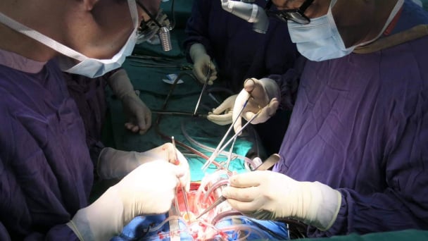 Món nợ ân tình với quê hương