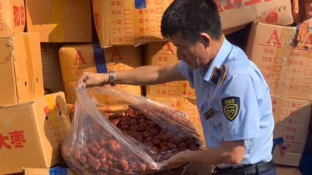 Hà Nội: Phát hiện 4.300 kg táo đỏ khô không đảm bảo an toàn