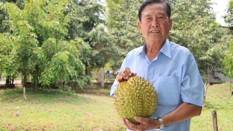Chuyện làm giàu của tỷ phú sầu riêng