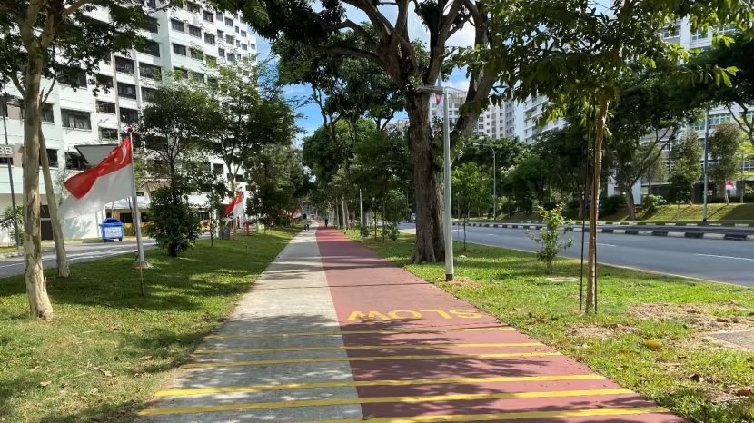 Đường dành cho xe đạp tại Tampines Ave 8, Singapore. Ảnh: LTA