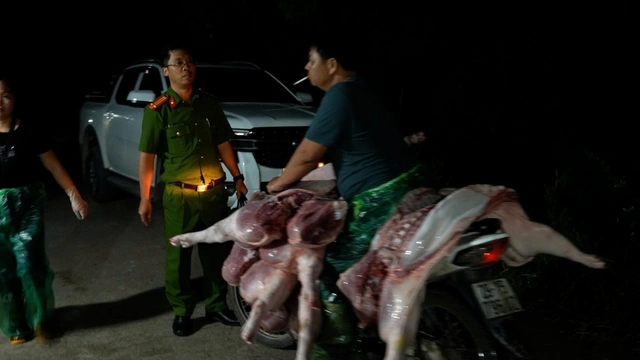 Lực lượng chức năng đã phát hiện khi các đối tượng đang vận chuyển, tiêu thụ lợn bệnh.