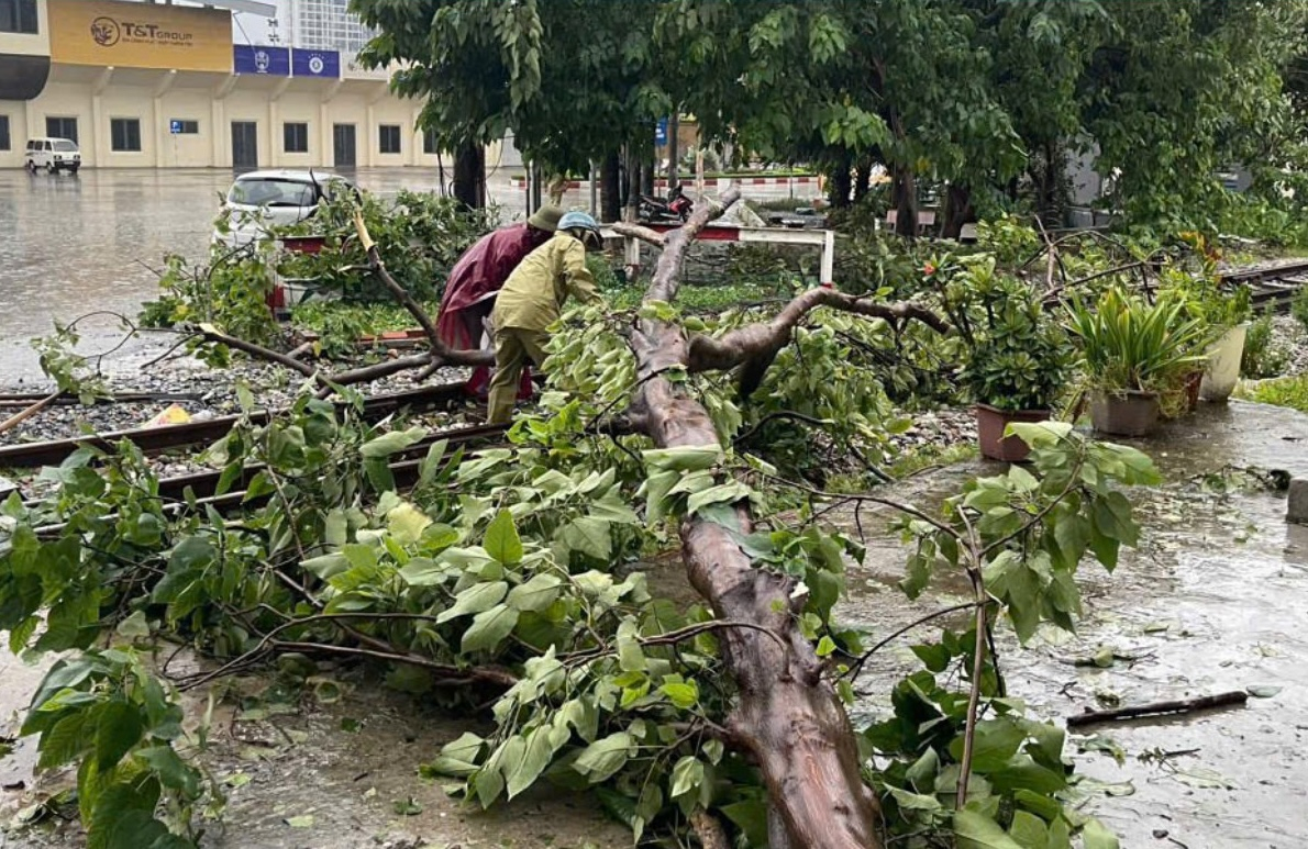 Để tránh thiệt hại, đảm bảo an toàn về người, phương tiện, đường sắt đã bãi bỏ hàng loạt chuyến tàu khách.