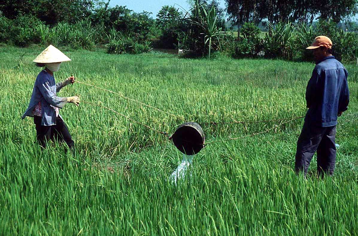 Ảnh minh họa Internet