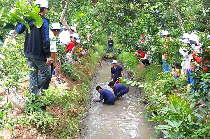 Du lịch Cồn Sơn