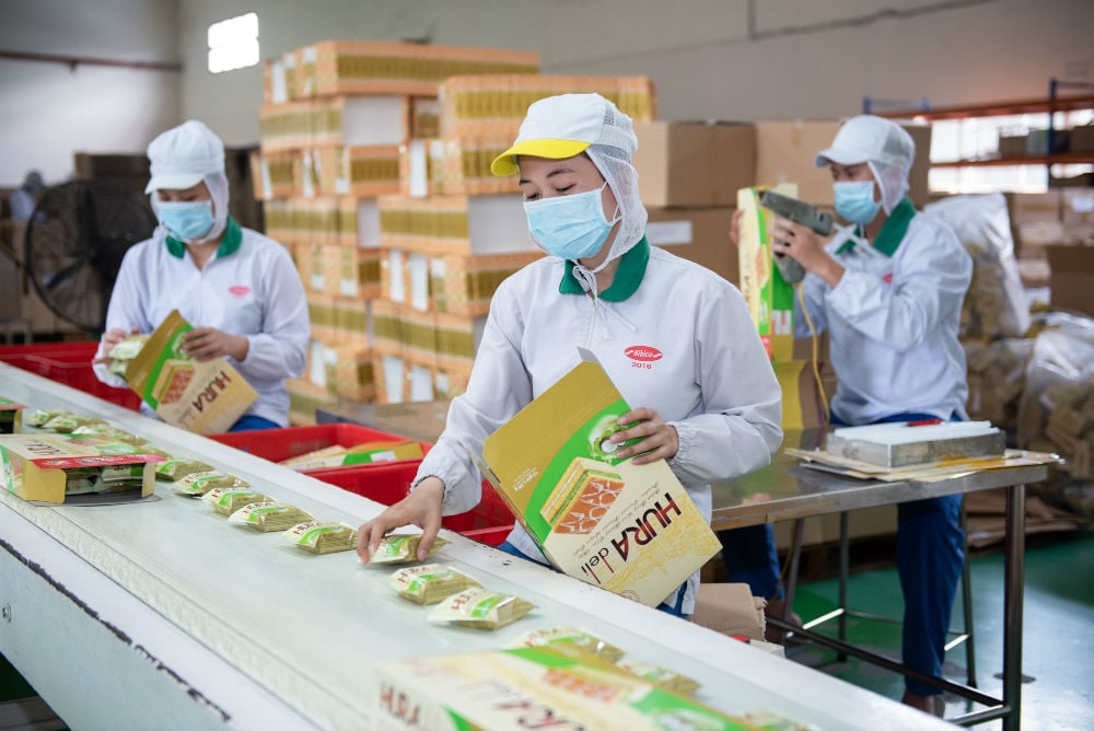 Dây chuyền sản xuất bánh Trung Thu tại Công ty Cổ phẩn bánh kẹo BiBica. Ảnh: Tiền Phong