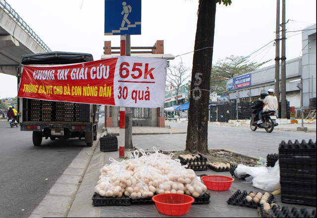 Trên vỉa hè nhiều tuyến phố tại Hà Nội xuất hiện các điểm bán trứng gà, vịt với băng rôn 'Chung tay giải cứu cho bà con nông dân'. Ảnh: Dân trí