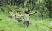 Khi rừng cần người giữ và truyền lửa (Kỳ 1): Lực lượng chuyên trách bảo vệ rừng: Thiếu là điều dễ hiểu