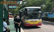 Sở GTVT Hà Nội nói gì về việc 5 tuyến buýt xin dừng hoạt động vì nguy cơ vỡ nợ