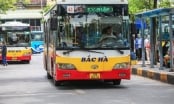 'Cái chết' của Bắc Hà hay sự bế tắc của xã hội hóa xe buýt Hà Nội?