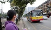 Tìm giải pháp phát triển cho vận tải xe buýt Thủ đô