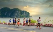 Oneway Marathon Cát Bà 2022 – Xu hướng du lịch kết hợp thể thao