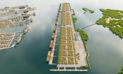 Có nên đổi rừng lấy cảng?