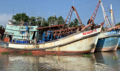 Mua bán trái phép thủy sản có thể bị truy cứu trách nhiệm hình sự