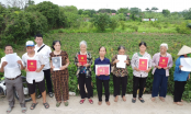 Bí ẩn lớn nhất vụ thâu tóm đất ở Thanh Trì: Sự “biến mất” kỳ lạ của 234 bộ hồ sơ gốc