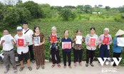 Bí ẩn lớn nhất vụ thâu tóm đất ở Thanh Trì: Sự “biến mất” kỳ lạ của 234 bộ hồ sơ gốc
