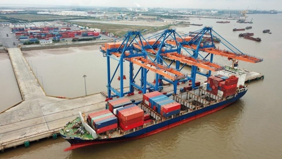 TP. Hồ Chí Minh kiến nghị Chính phủ đầu tư cảng trung chuyển quốc tế tại huyện Cần Giờ