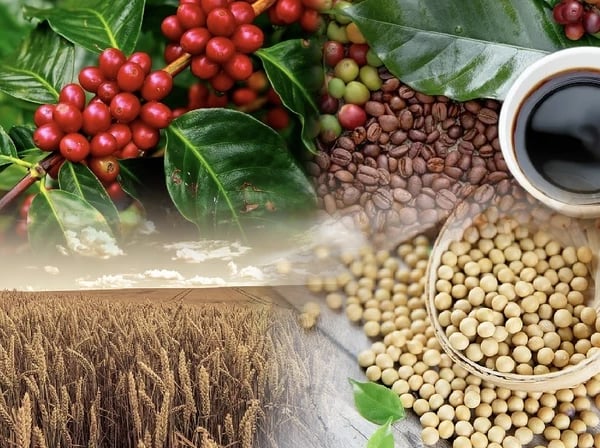 Sau đàm phán Mỹ - Trung, tâm lý lạc quan lan tỏa trên thị trường hàng hóa thế giới