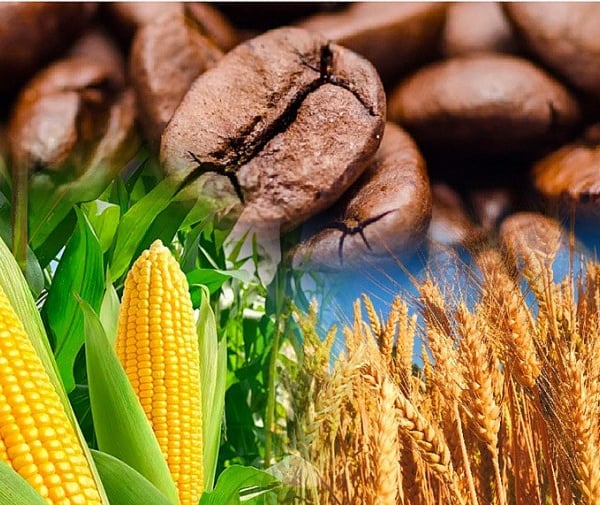 Sắc đỏ lan tỏa trên thị trường hàng hóa thế giới