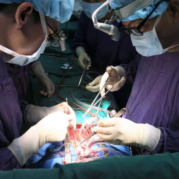 Món nợ ân tình với quê hương
