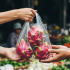 Hơn 2 năm đếm ngược, Hà Nội sẽ làm gì để bỏ túi nilon?
