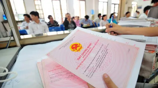 Ảnh minh họa
