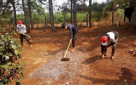 Hình phạt lao động công ích của một nhóm đua xe tại trụ sở UBND xã Ia Pết (huyện Đắk Đoa - Gia Lai). (Ảnh: Công an TP.HCM)