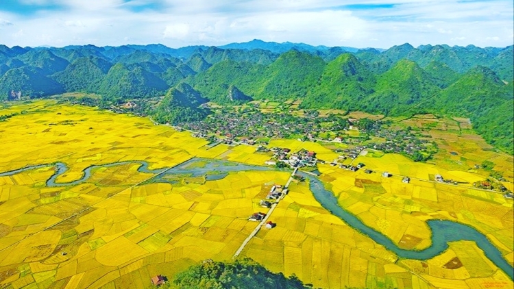 Mùa vàng trên thung lũng Bắc Sơn