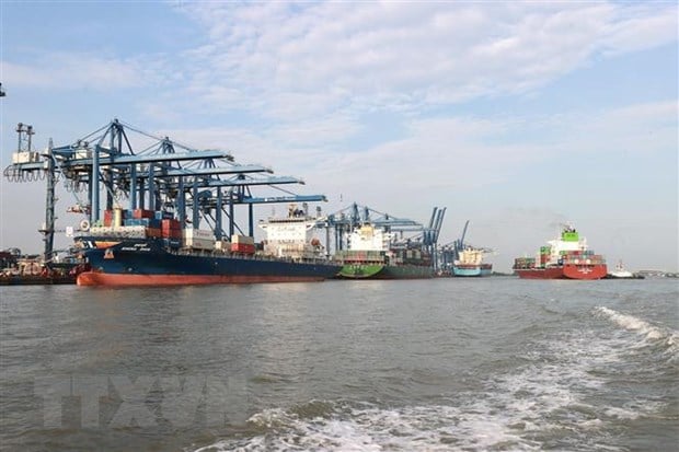 Tàu ra vào bốc xếp hàng hóa tại Cảng Tân cảng Cát Lái (Ảnh: TTXVN)